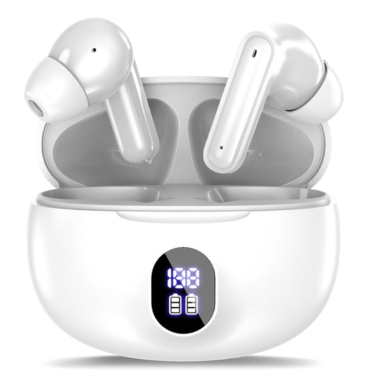 HoarahLoux W895 Earbuds